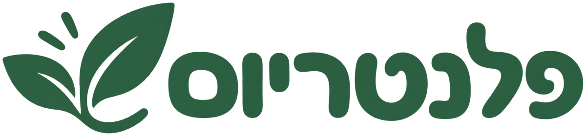 פלנטריום